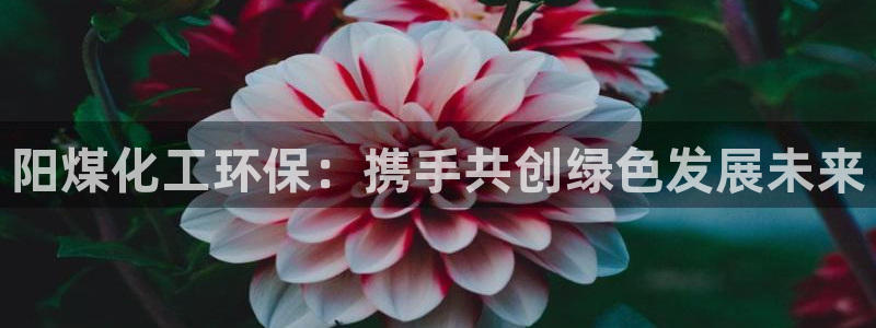 亿万先生网页版:阳煤化工环保:携手共创绿色发展未来