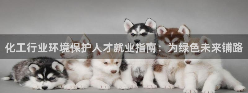 mr8001亿万先生:化工行业环境保护人才就业指南:为绿色未来铺路